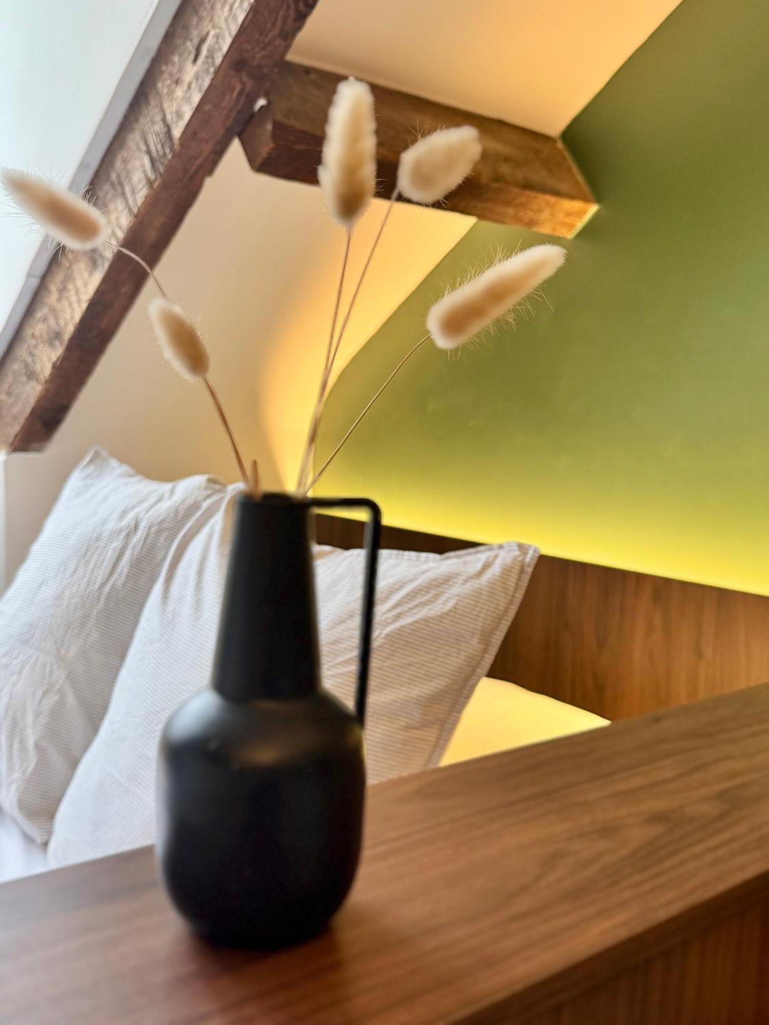 Appartement Le Petit Nantais, Centre De Rennes, Avec Vue Sur La Cathedrale