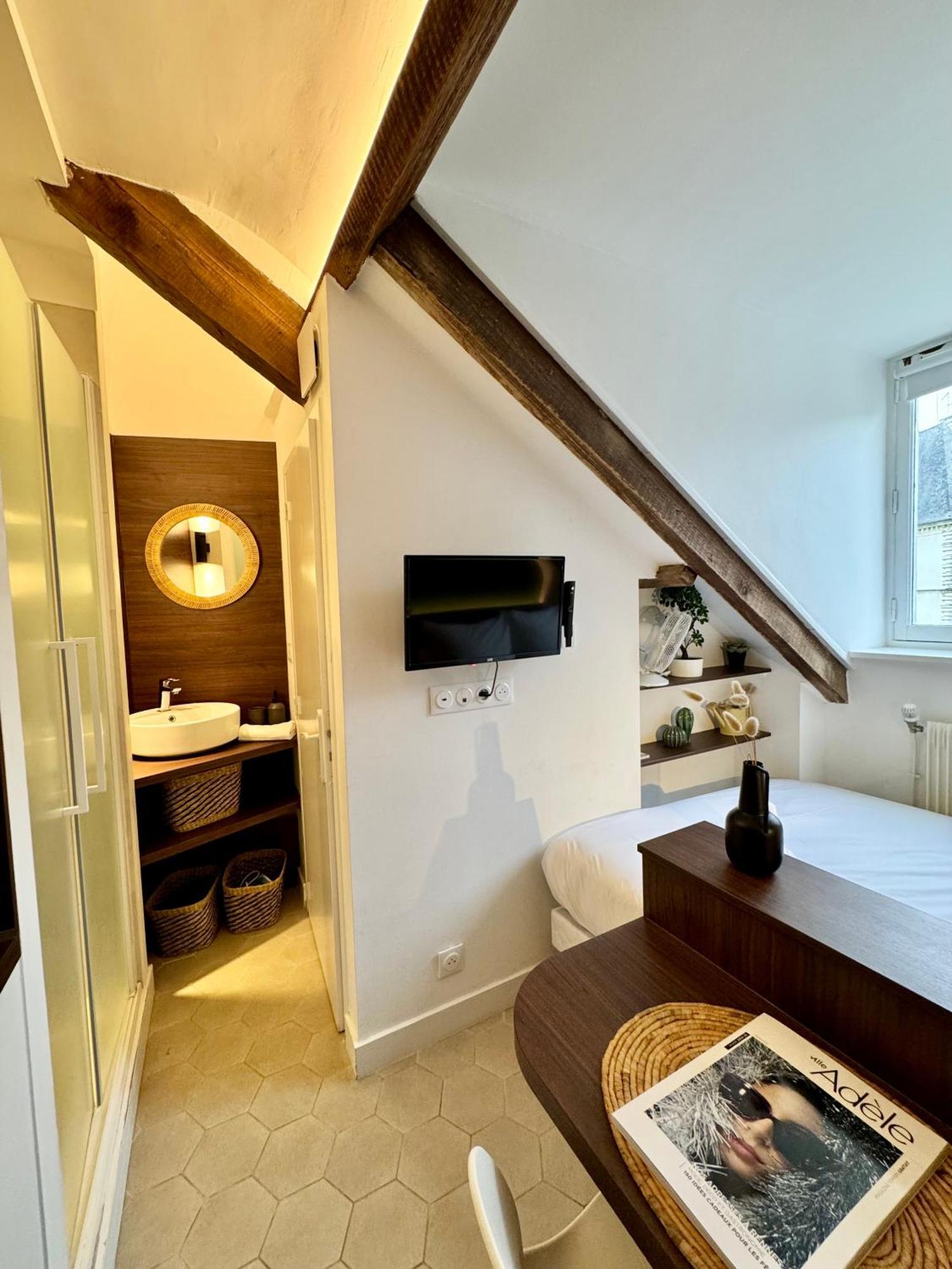 Appartement Le Petit Nantais, Centre De Rennes, Avec Vue Sur La Cathedrale *